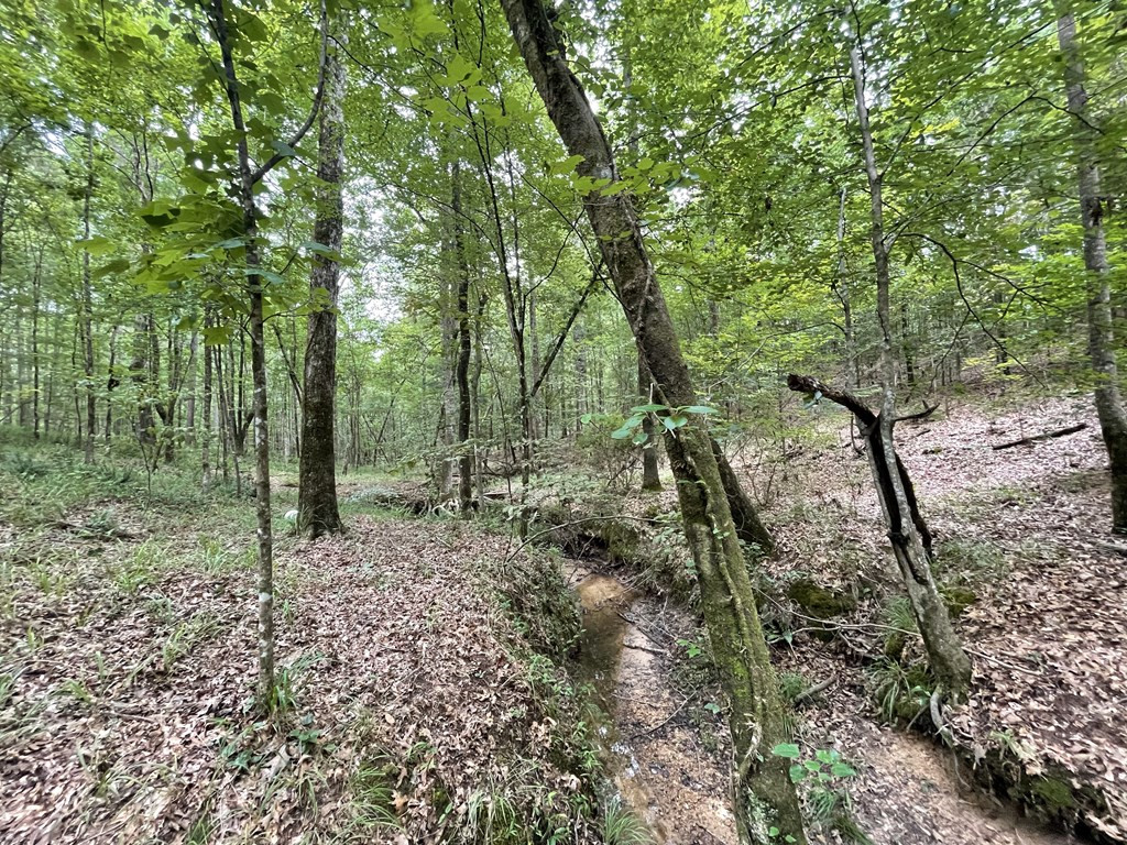 0 Antioch Road Hazlehurst, MS 39083 - Photo 5 of 20 Photo 5