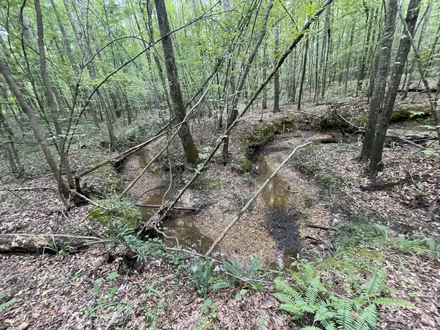 $68,250 | 0 Antioch Road, Hazlehurst, MS 39083