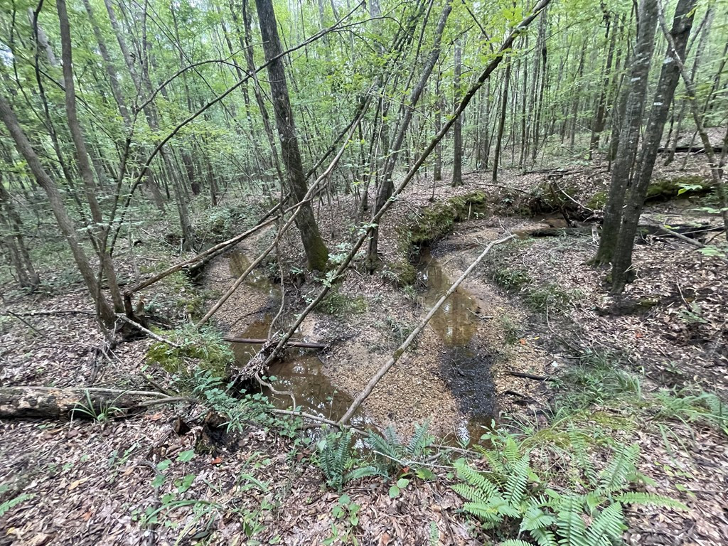 0 Antioch Road Hazlehurst, MS 39083 - Photo 9 of 20 Photo 9