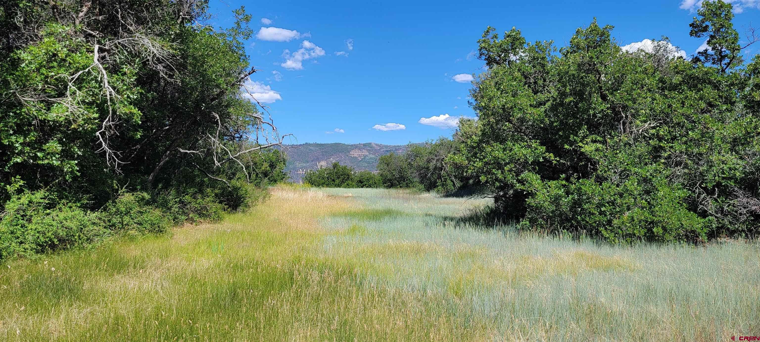 188 Grouse Point Durango, CO 81301 - Photo 3 of 9