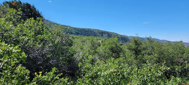 a view of a green field
