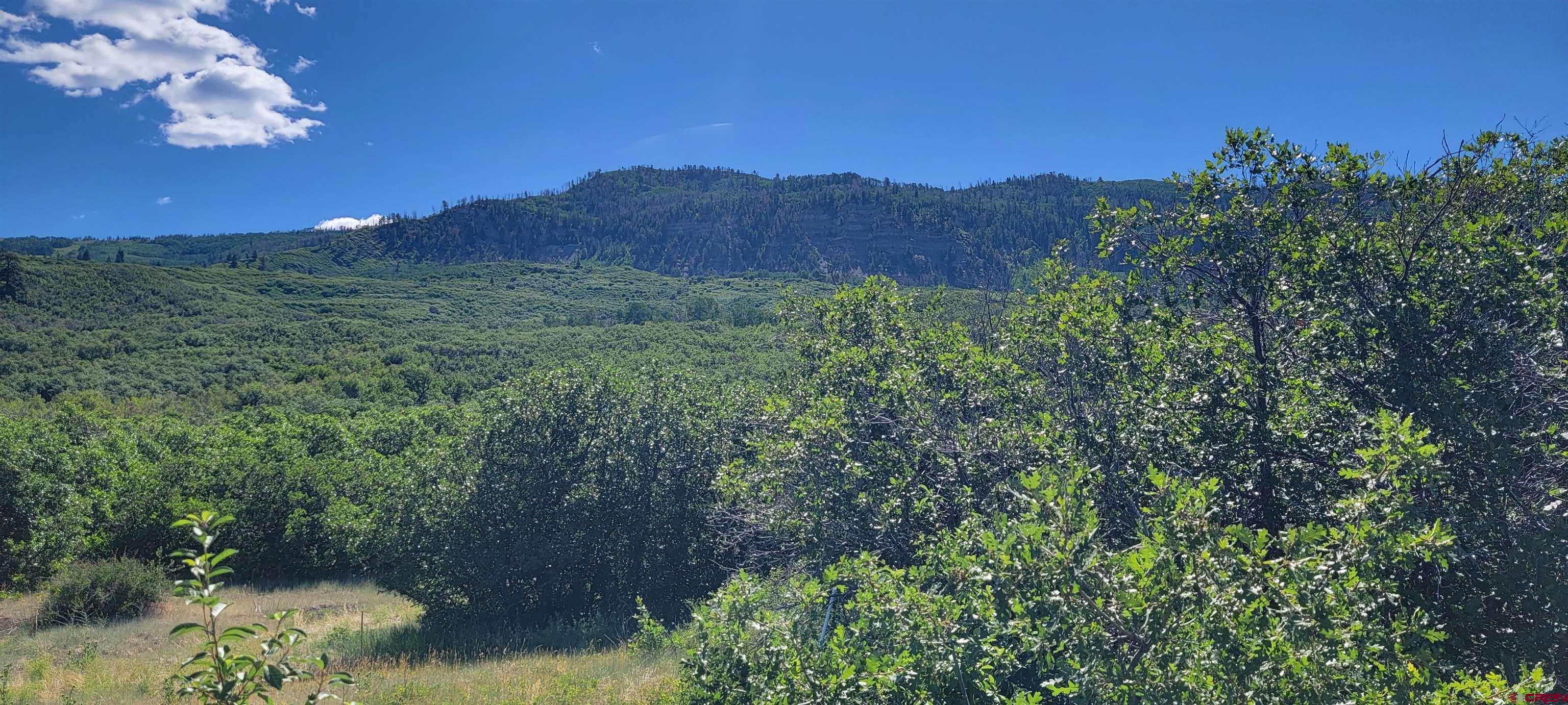 188 Grouse Point Durango, CO 81301 - Photo 6 of 9