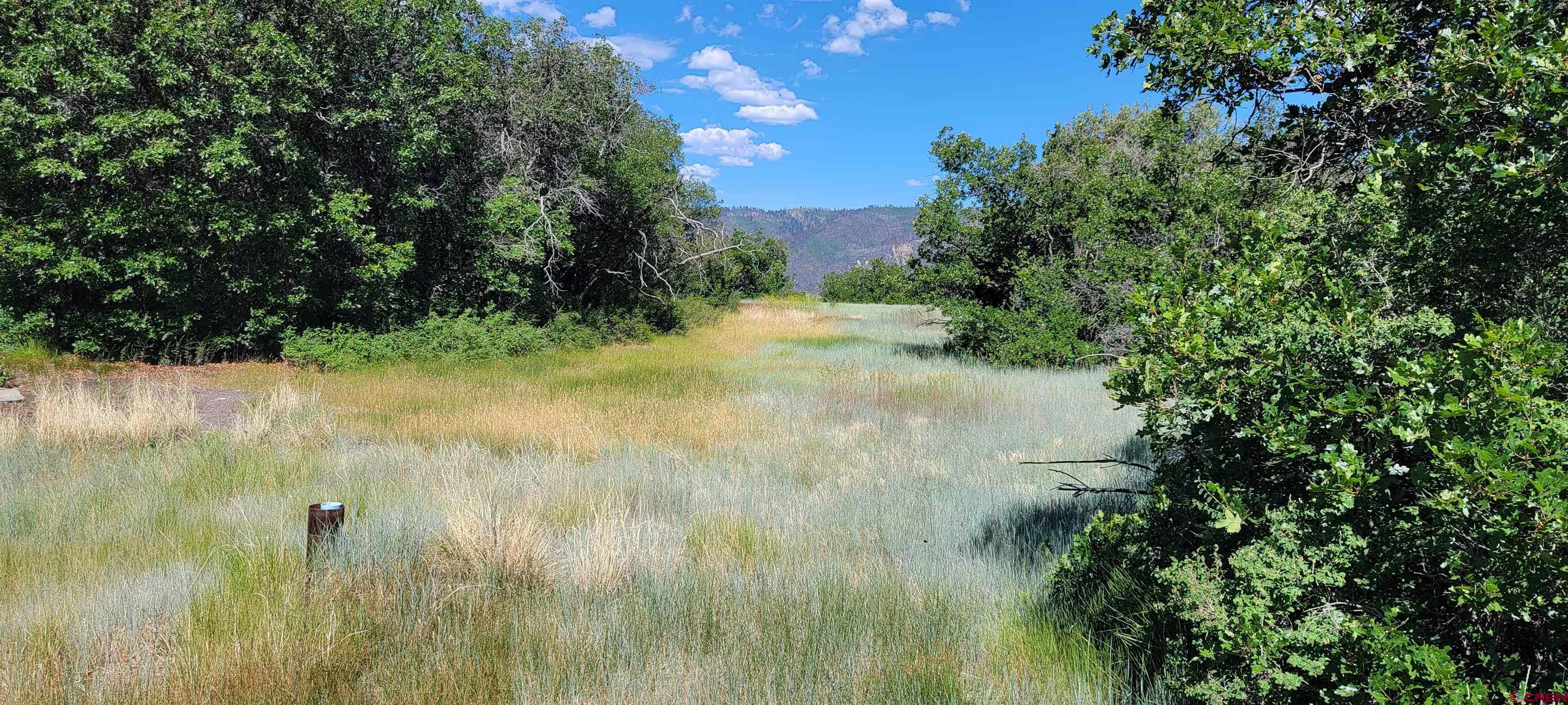 188 Grouse Point Durango, CO 81301 - Photo 7 of 9