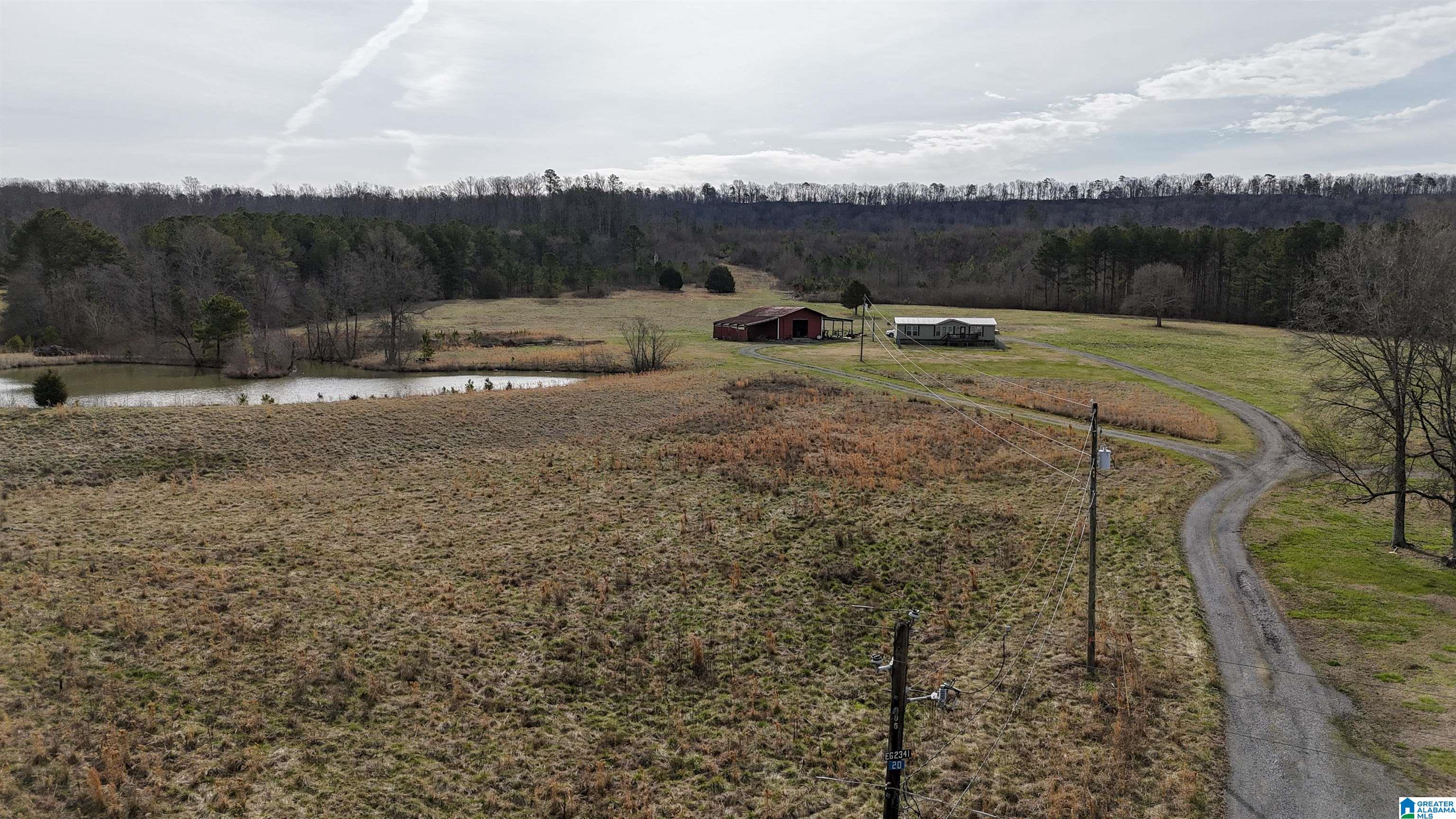 3410 Highway 132 Oneonta, AL 35121 - Photo 8 of 46