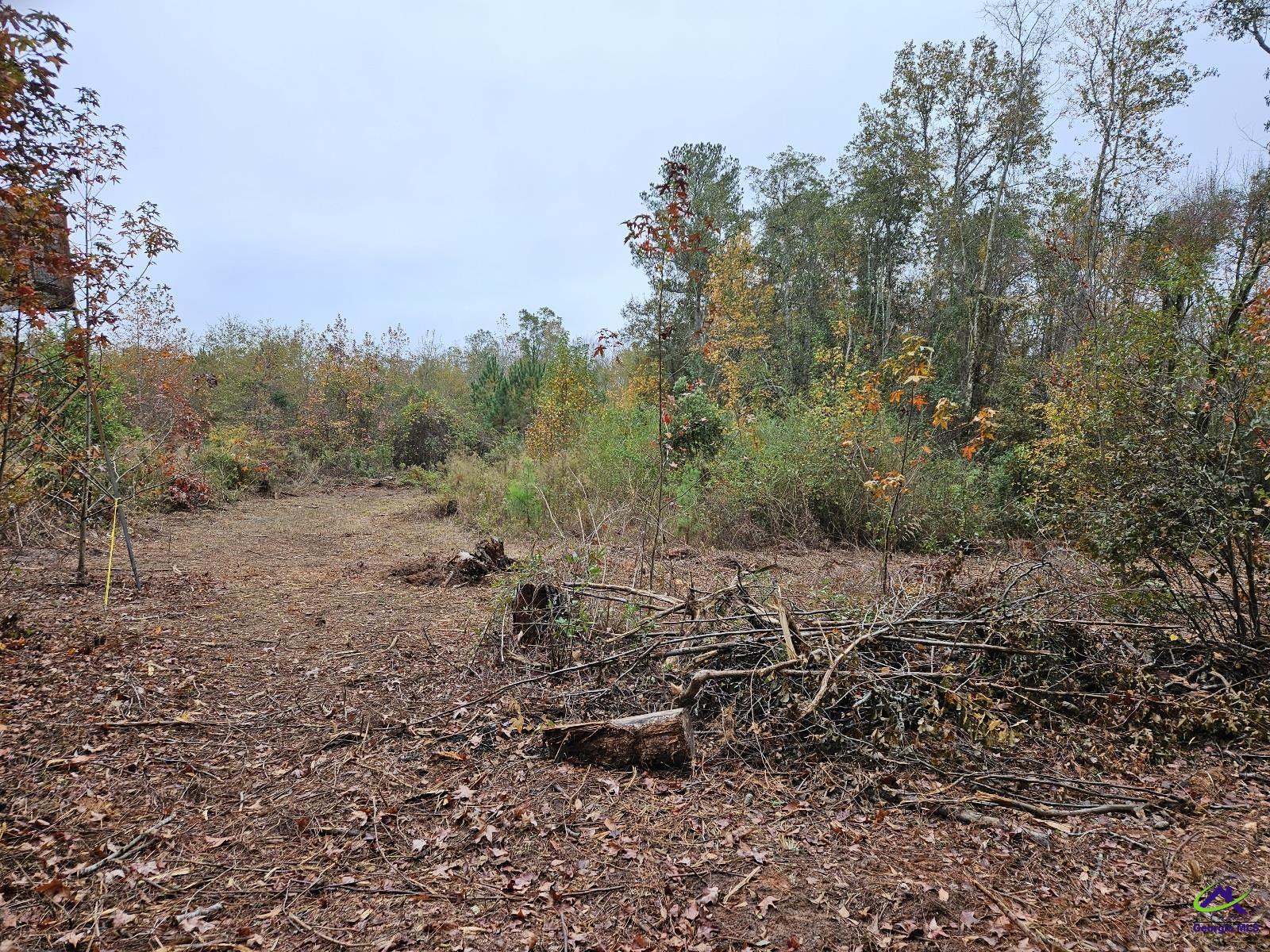 0 Willow Lake Road Fort Valley, GA 31030 - Photo 2 of 9