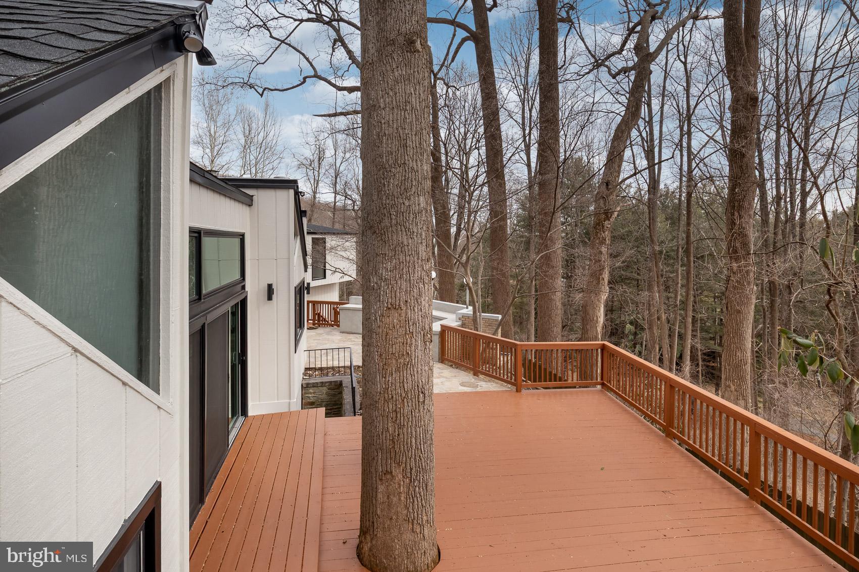 903 Ivy Hill Road Cockeysville, MD 21030 - Photo 88 of 100 Serene deck nestled among towering trees.