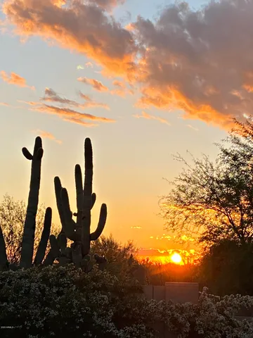 $5,750 | 6894 East Thirsty Cactus Lane, Scottsdale, AZ 85266