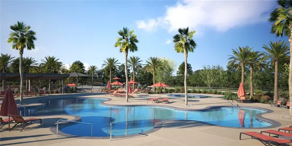 a view of a swimming pool with a patio and palm tree