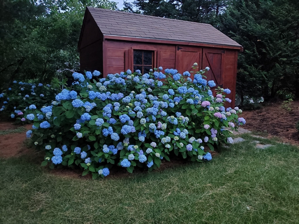 1 Lancaster Place Andover, MA 01810 - Photo 36 of 41