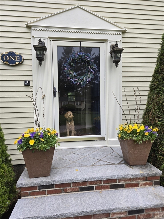 1 Lancaster Place Andover, MA 01810 - Photo 41 of 41