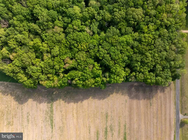 a small yard with wooden fence