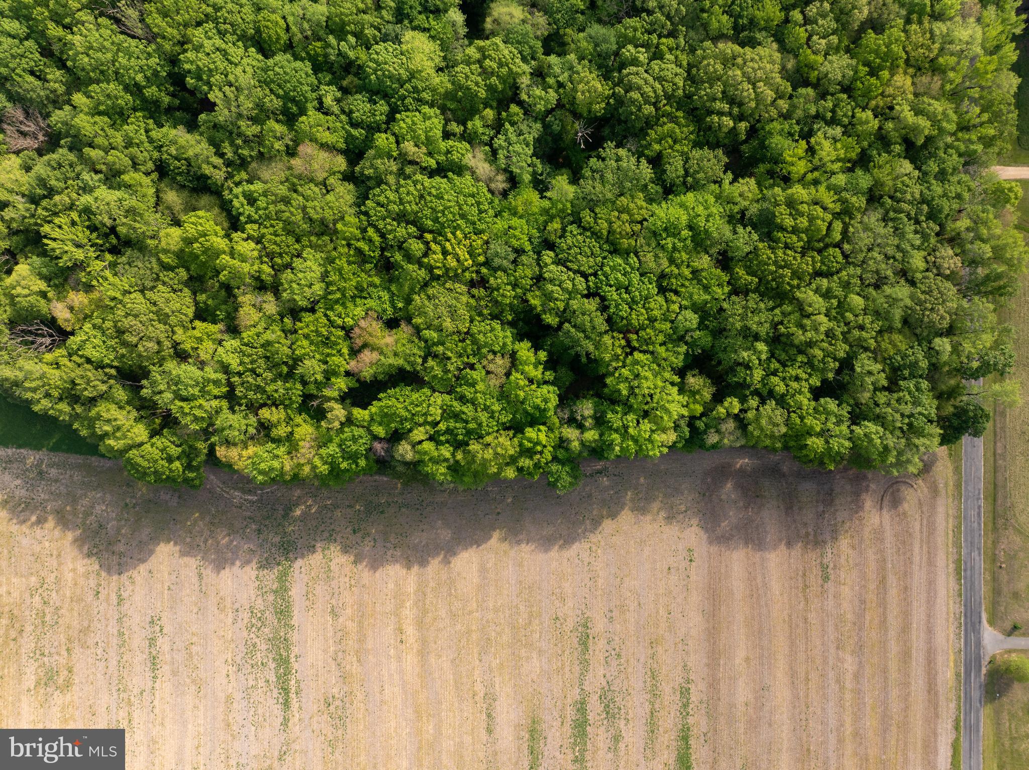 Baxter Road Sudlersville, MD 21668 - Photo 11 of 13 a small yard with wooden fence
