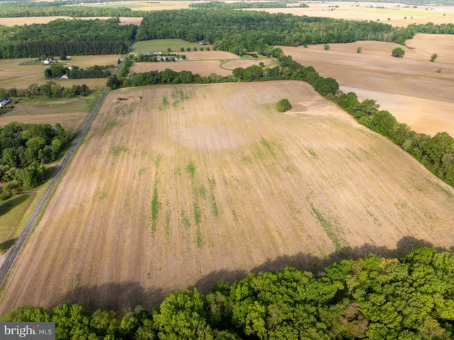 a view of a swimming pool with a yard