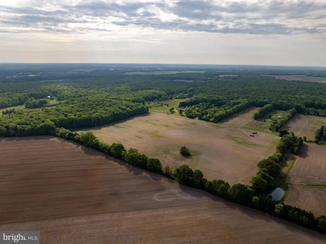 a view of a street with an ocean