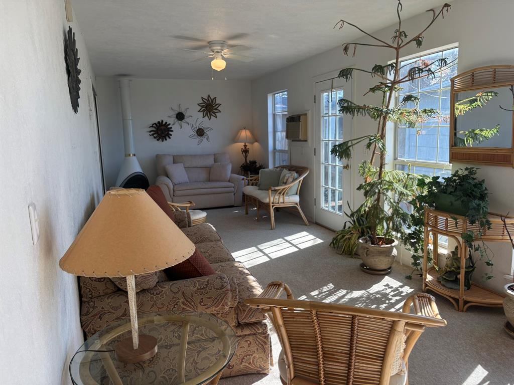 409 East Truett Street Winters, TX 79567 - Photo 15 of 21 Bedroom 3 can flex as a sun room, game room, home office or play area.