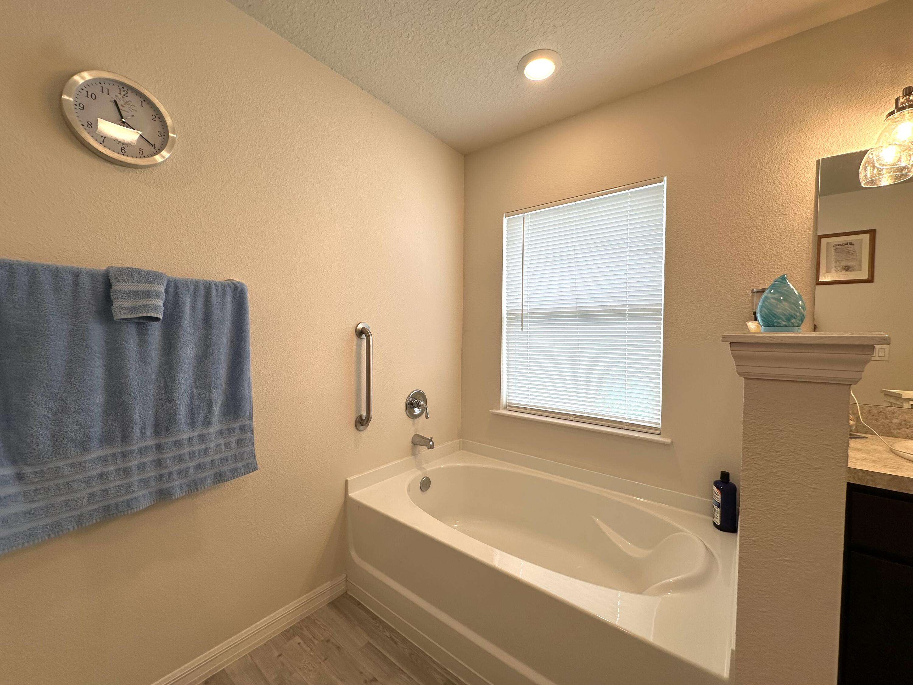 15329 Southwest 65th Ter Road Ocala, FL 34473 - Photo 11 of 28 Separate Tub in the Master Bathroom