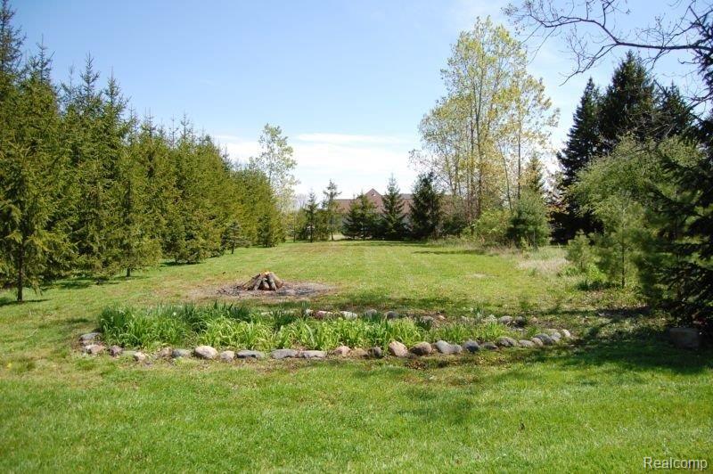 Over 7 Acres of Property