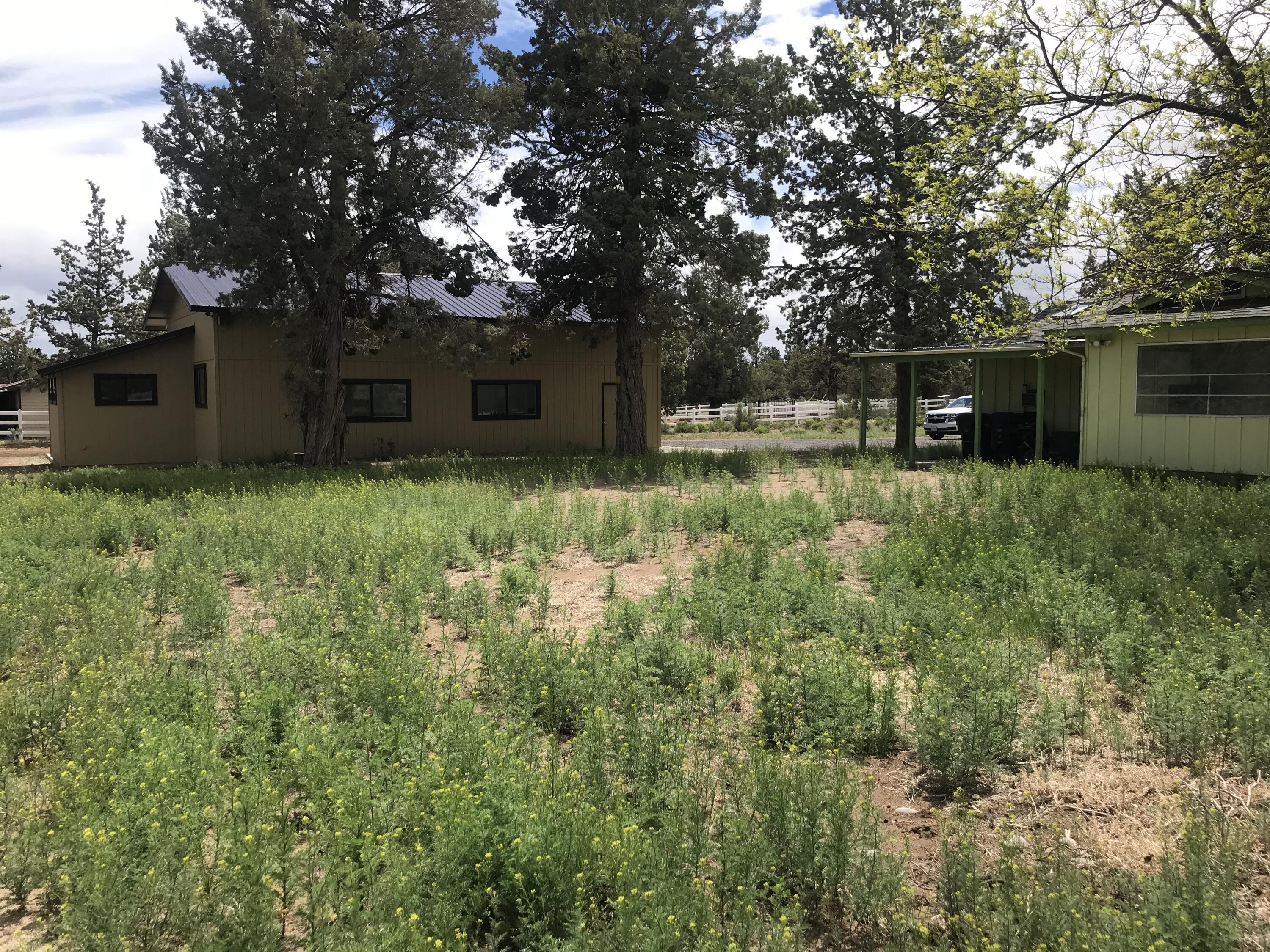 22980 McGrath Road Bend, OR 97701 - Photo 10 of 23 a backyard of a house with lots of green space