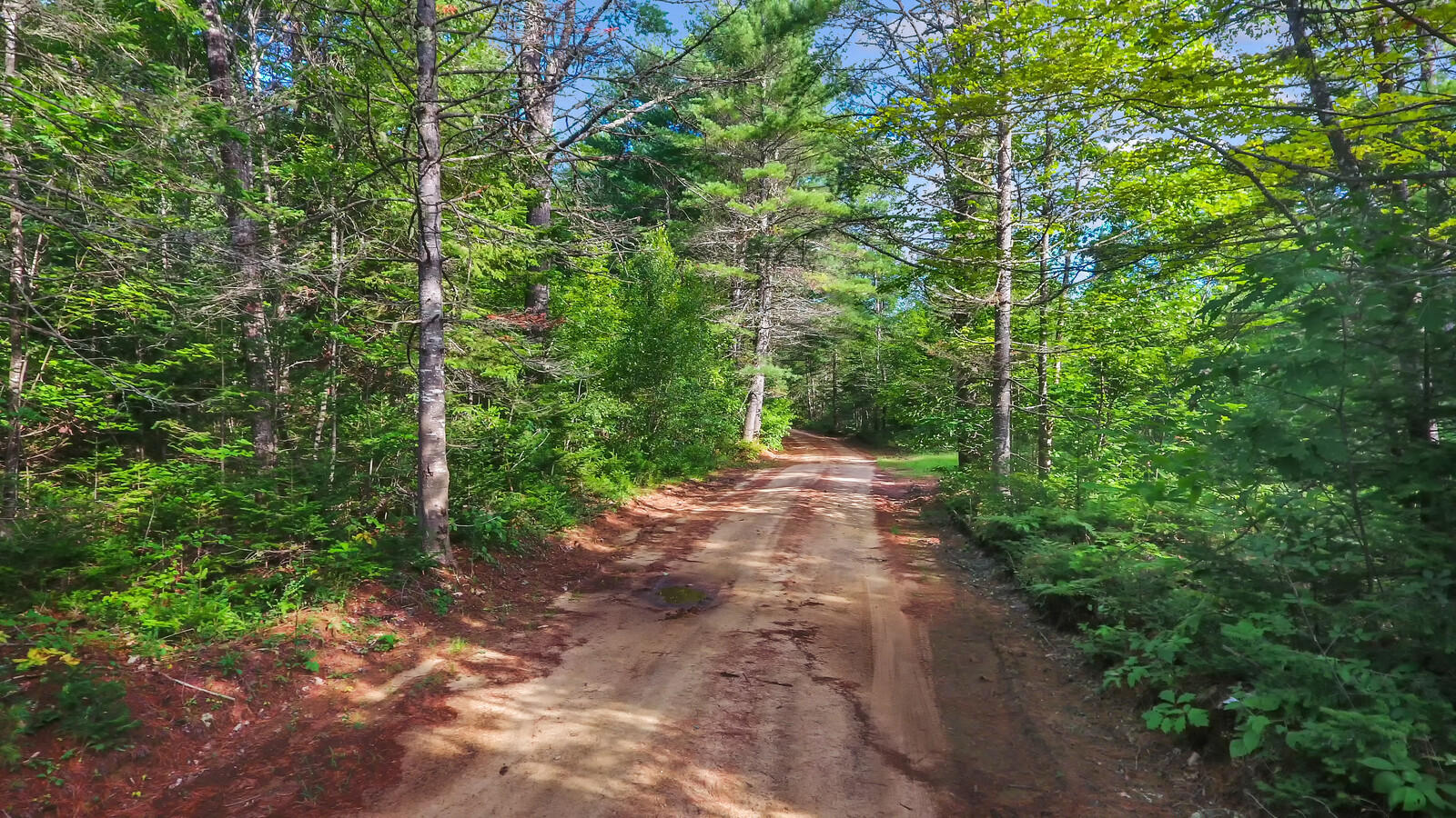 167 Harrison Road Oxford, ME 04270 - Photo 35 of 40 08_DJI_0020_copy_1_mls