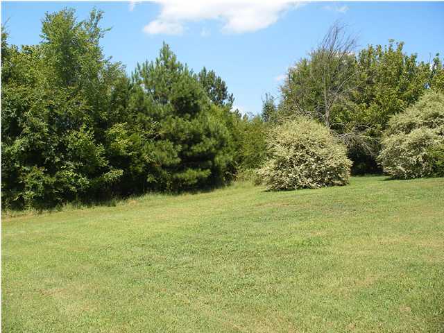 120 Napier Ridge Lane Ringgold, GA 30736 - Photo 30 of 35 Additional Photo