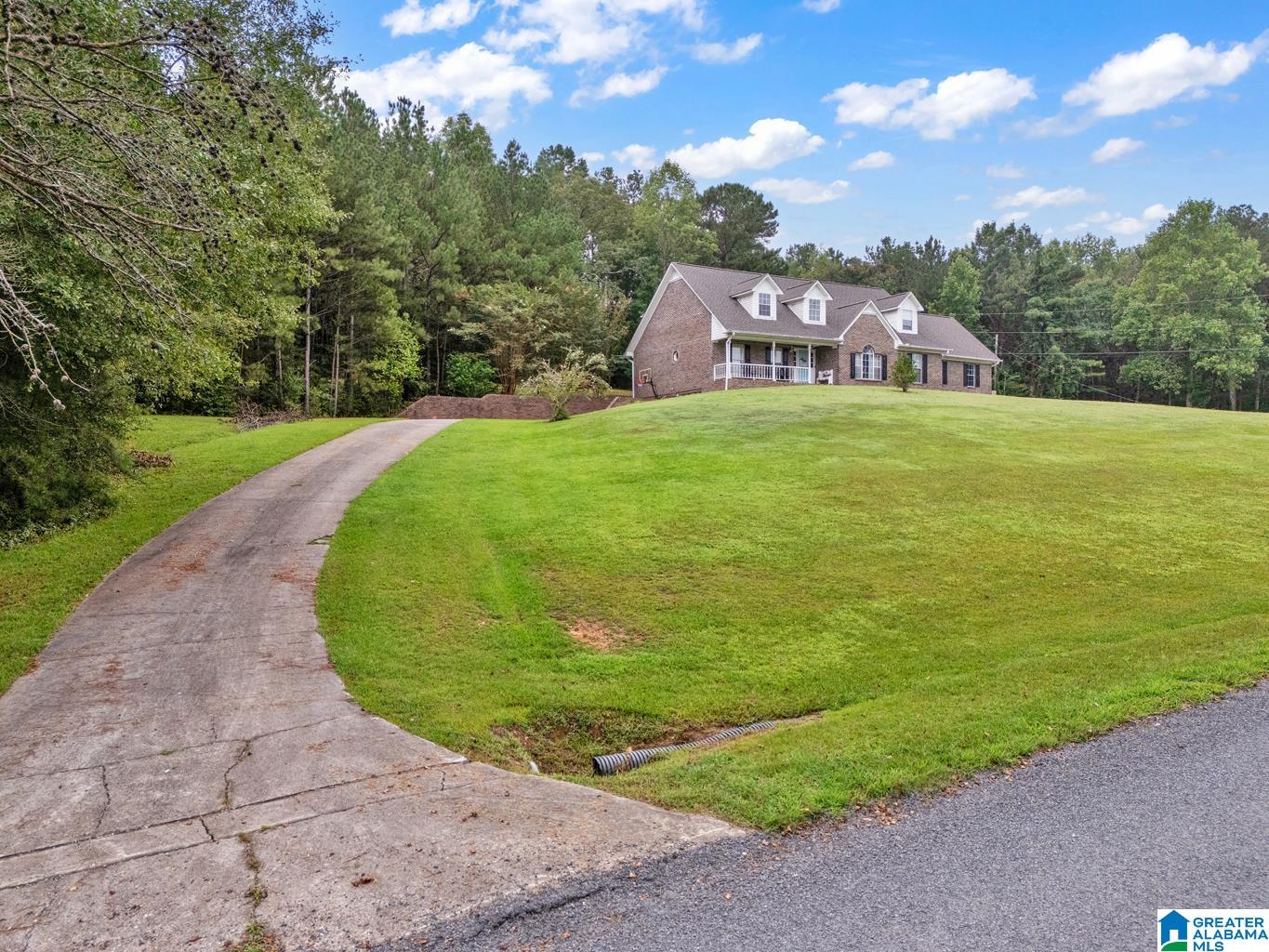 3736 Tidwell Hollow Road Oneonta, AL 35121 - Photo 5 of 46