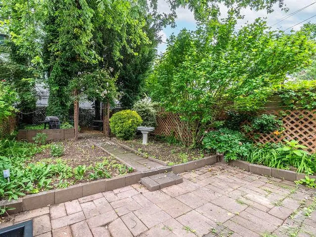 a view of a back yard