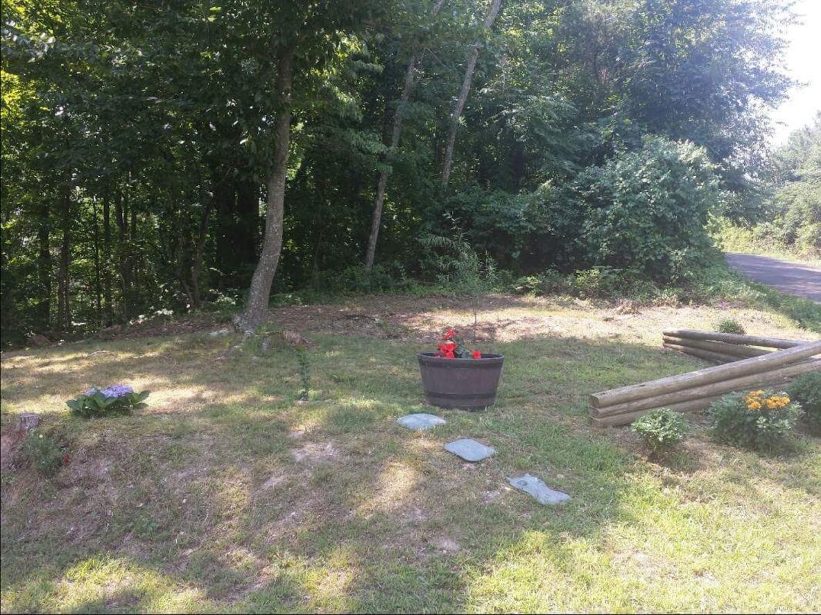 59 Ridgeland Road Rossville, GA 30741 - Photo 17 of 27 Front yard