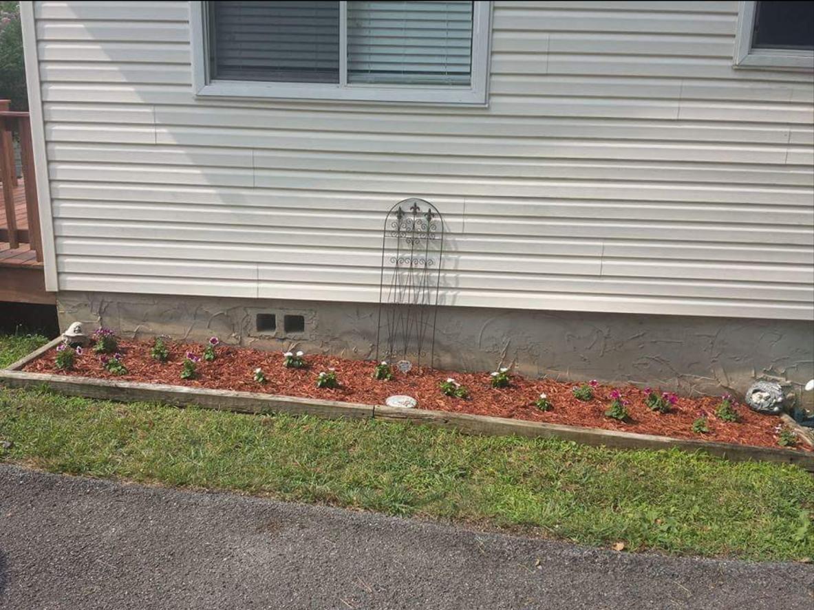 59 Ridgeland Road Rossville, GA 30741 - Photo 19 of 27 Landscaping