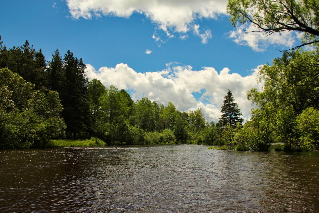 9252 Twin Bridge Road Grayling, MI 49738 - Photo 19 of 31 Gallery Image 19