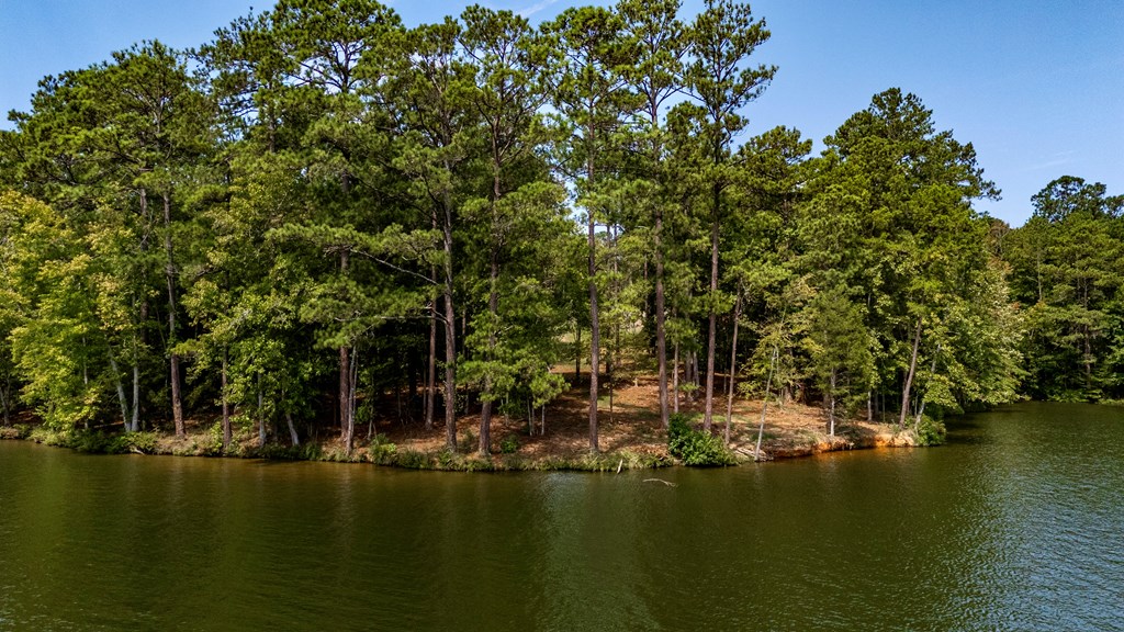 688 Spray Shed Road Greenwood, SC 29649 - Photo 2 of 17