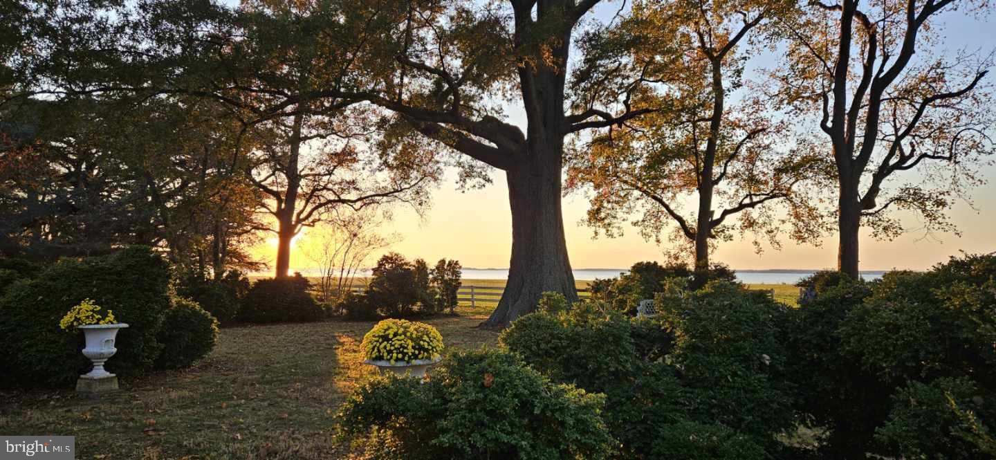 10770 Rich Neck Road Claiborne, MD 21624 - Photo 106 of 107 a view of a backyard of the house