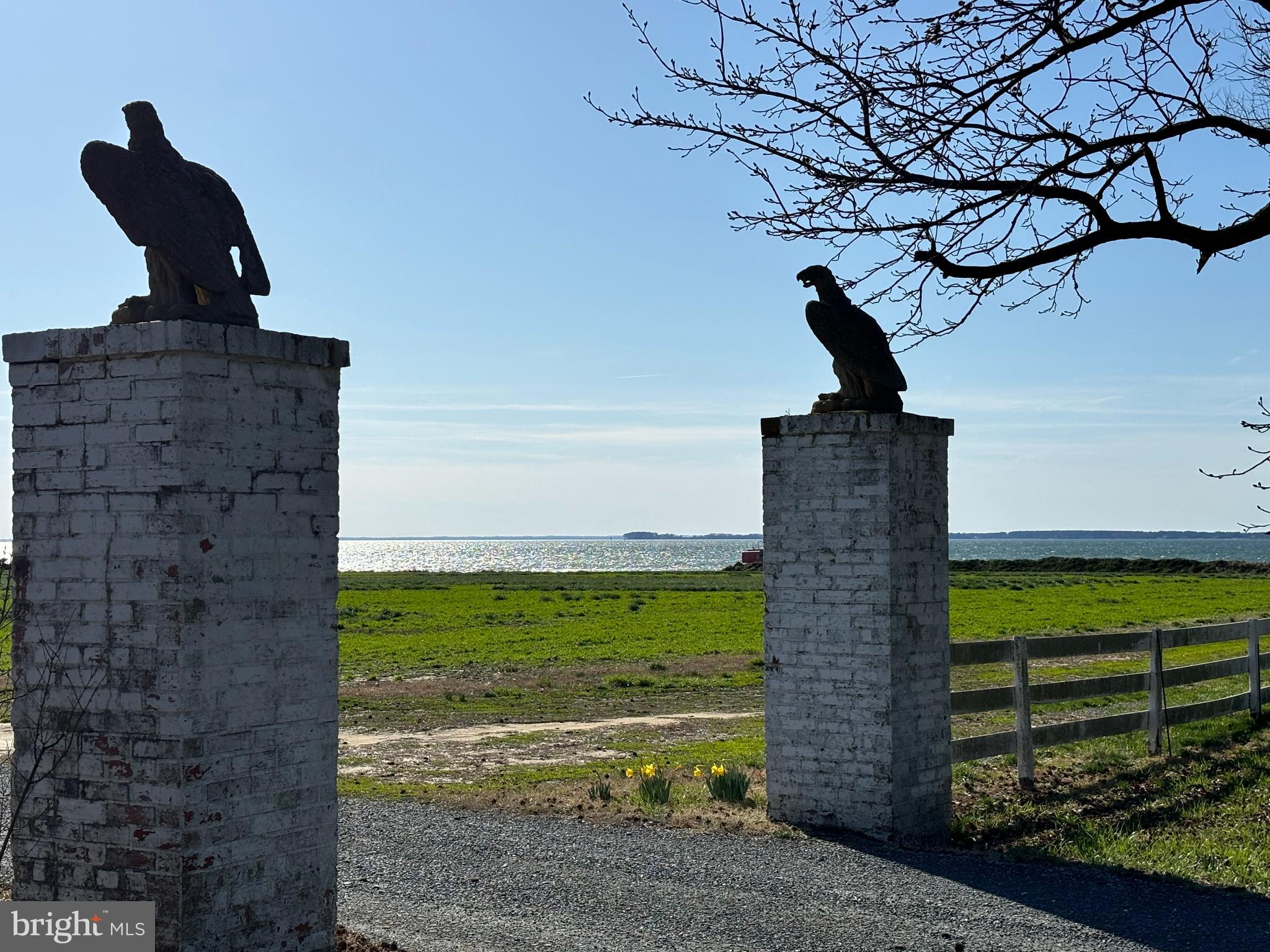 10770 Rich Neck Road Claiborne, MD 21624 - Photo 33 of 107 eagles guarding entrance, Bay in background