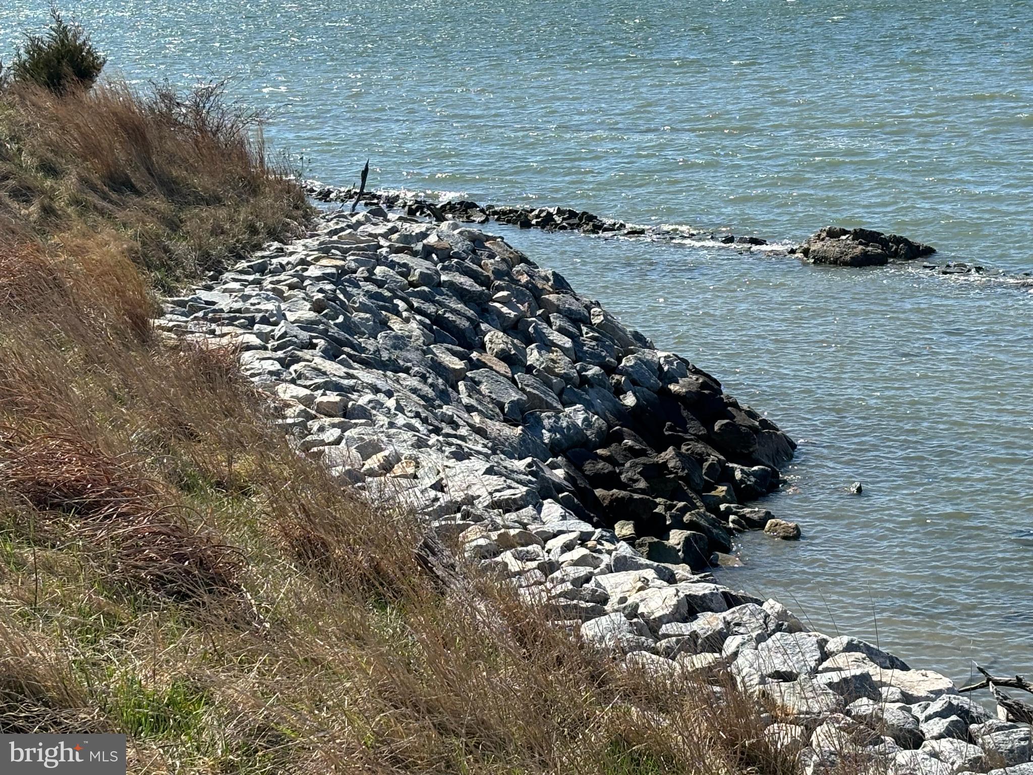 10770 Rich Neck Road Claiborne, MD 21624 - Photo 48 of 107 Eastern Bay shoreline with rock stabilization