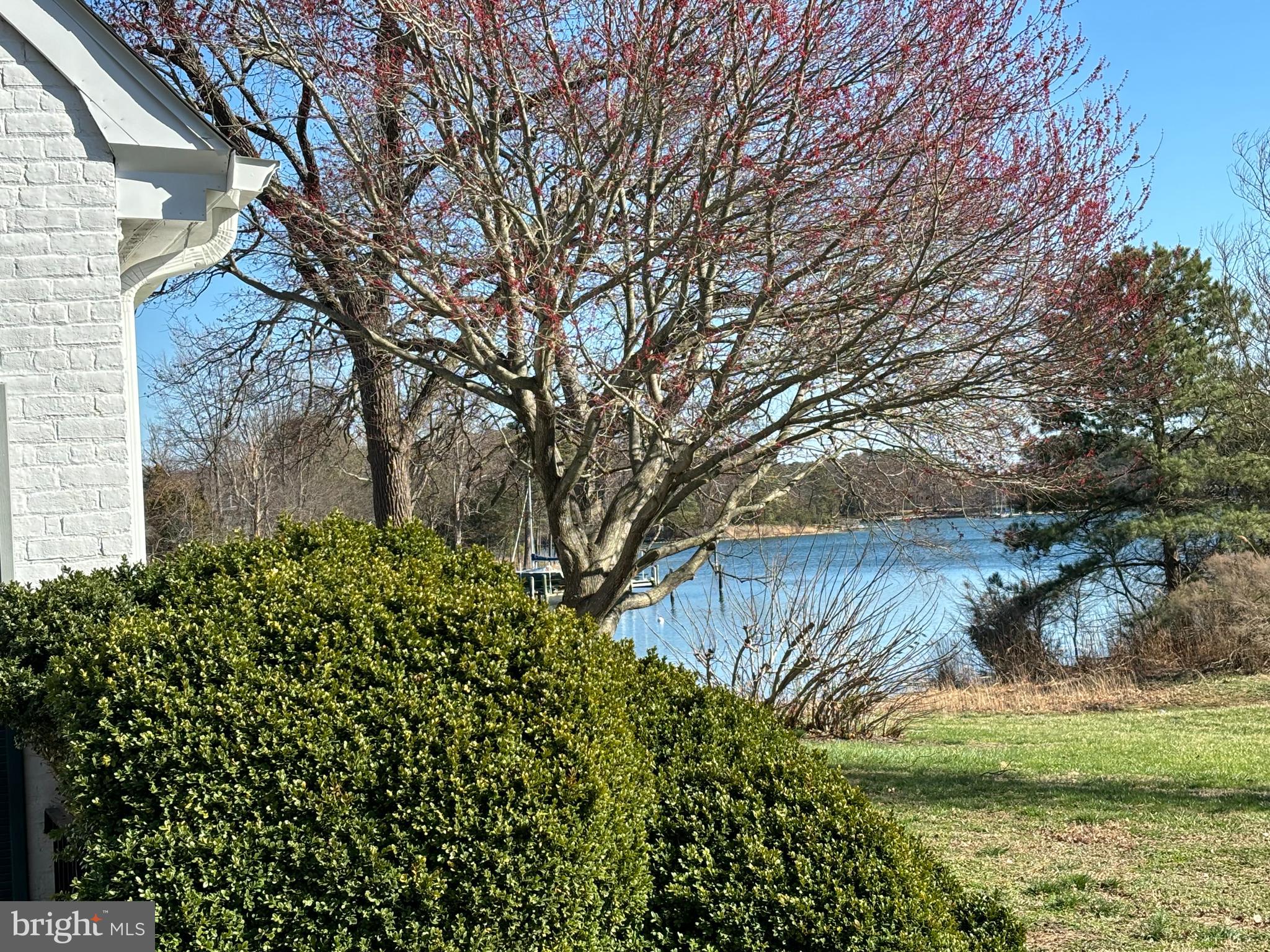 10770 Rich Neck Road Claiborne, MD 21624 - Photo 49 of 107 a view of a backyard of a house