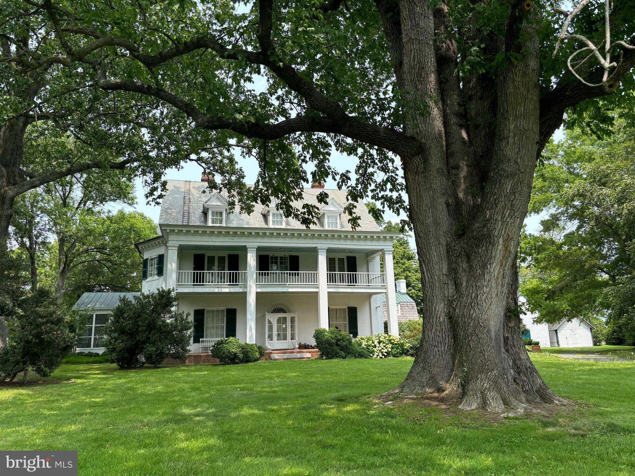 10770 Rich Neck Road Claiborne, MD 21624 - Photo 6 of 107 200 y/o ash planted by Pres. James Monroe