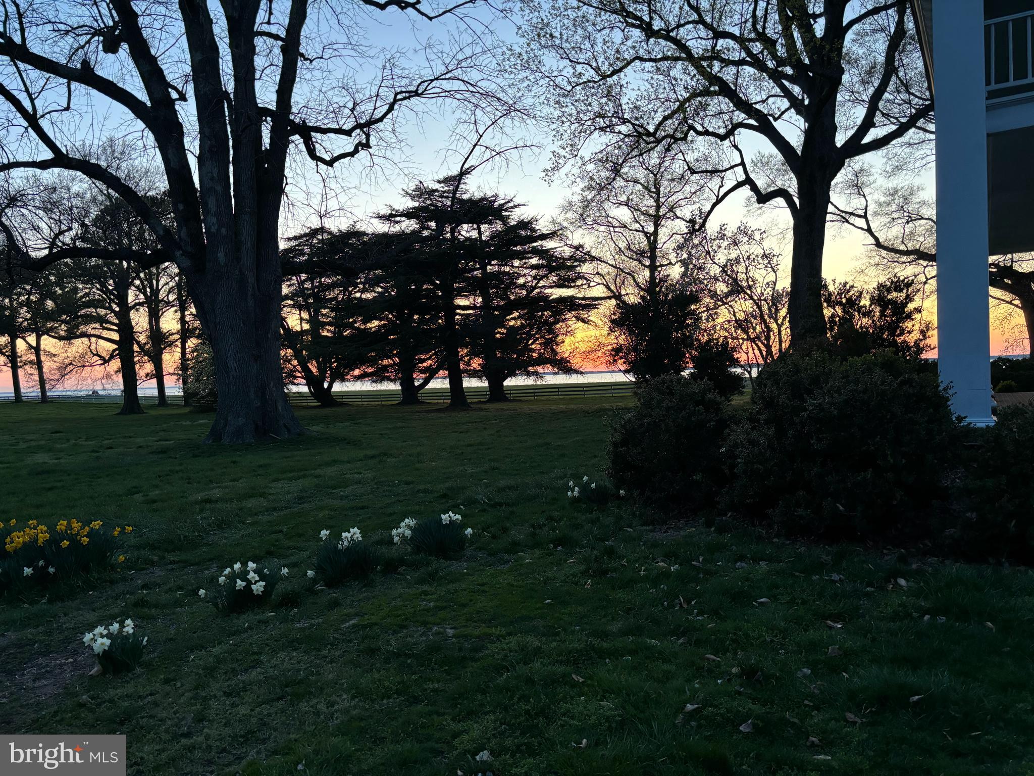 10770 Rich Neck Road Claiborne, MD 21624 - Photo 70 of 107 a yard with lots of green space and trees