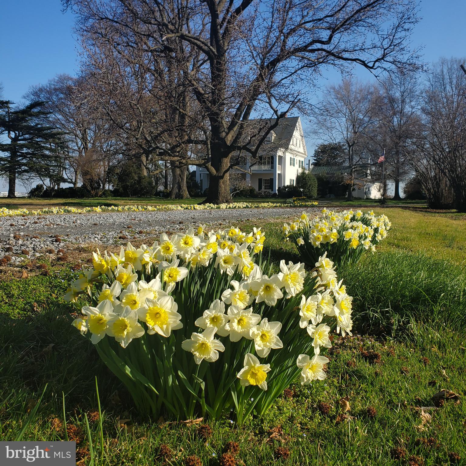 10770 Rich Neck Road Claiborne, MD 21624 - Photo 74 of 107 Rich Neck in the Spring