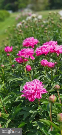 $7,900,000 | 10770 Rich Neck Road, Claiborne, MD 21624