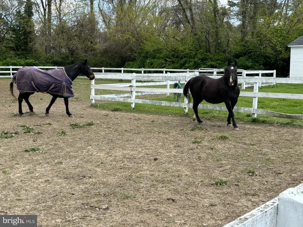 $7,900,000 | 10770 Rich Neck Road, Claiborne, MD 21624