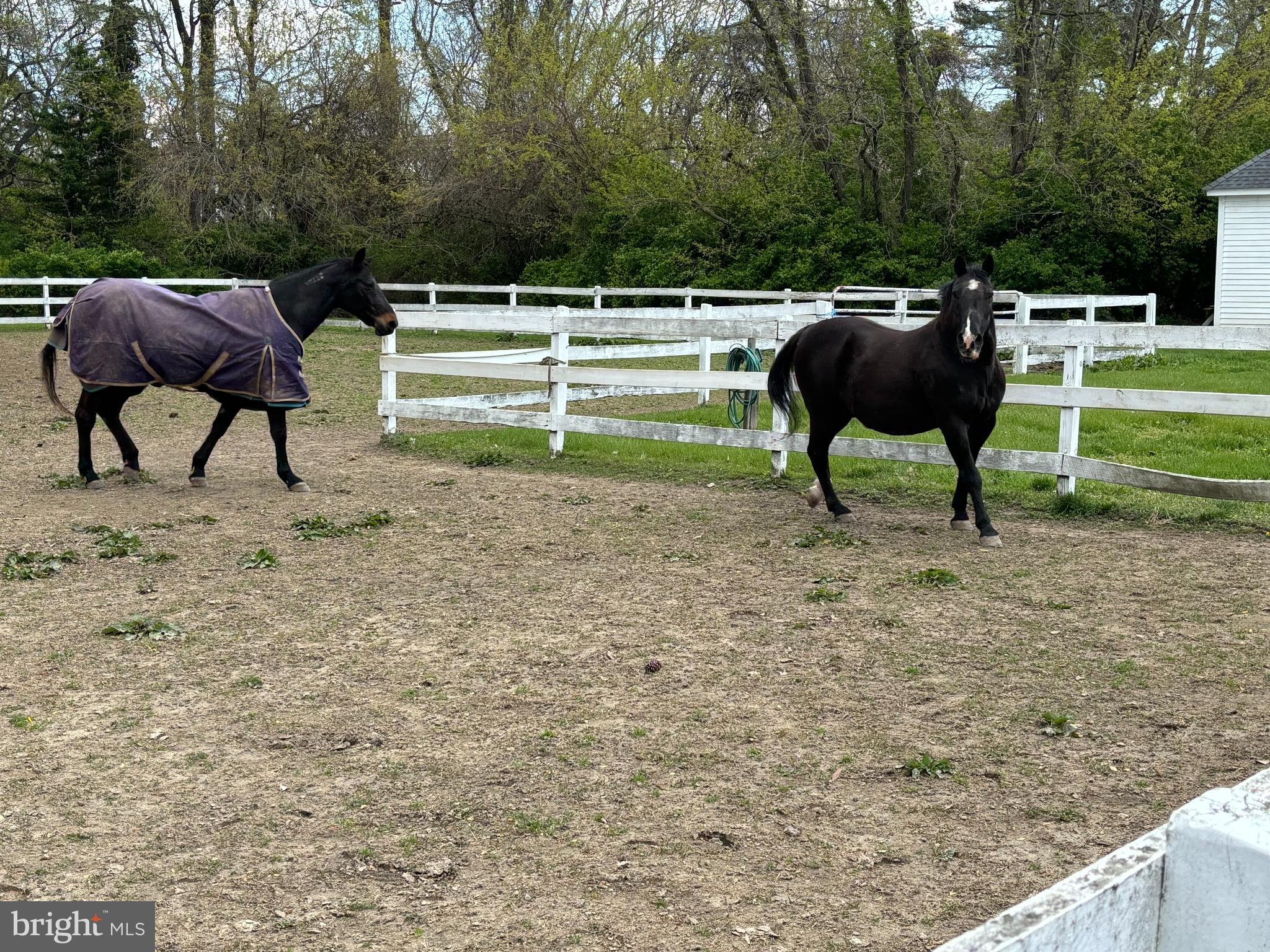 10770 Rich Neck Road Claiborne, MD 21624 - Photo 85 of 107 a view of backyard with furniture and a grill