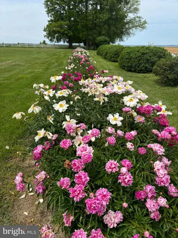 $7,900,000 | 10770 Rich Neck Road, Claiborne, MD 21624