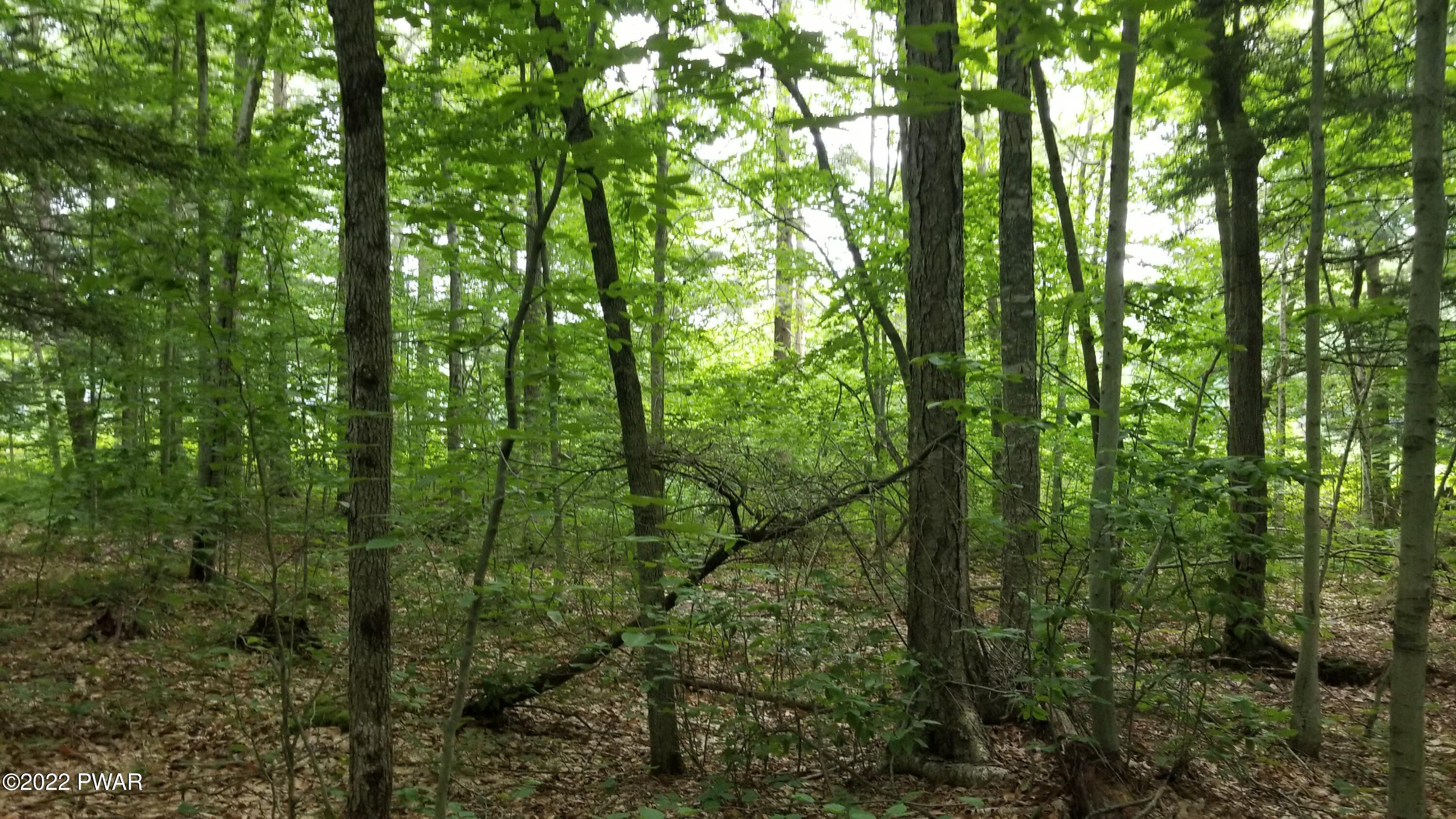 Lot 80 Stonegate Road Equinunk, PA 18417 - Photo 10 of 58