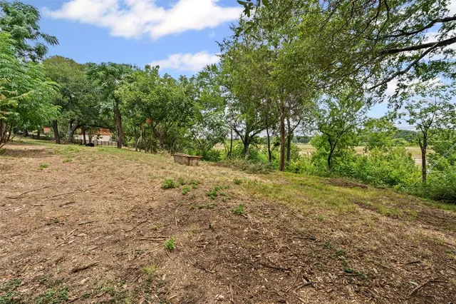 a view of a yard with large trees