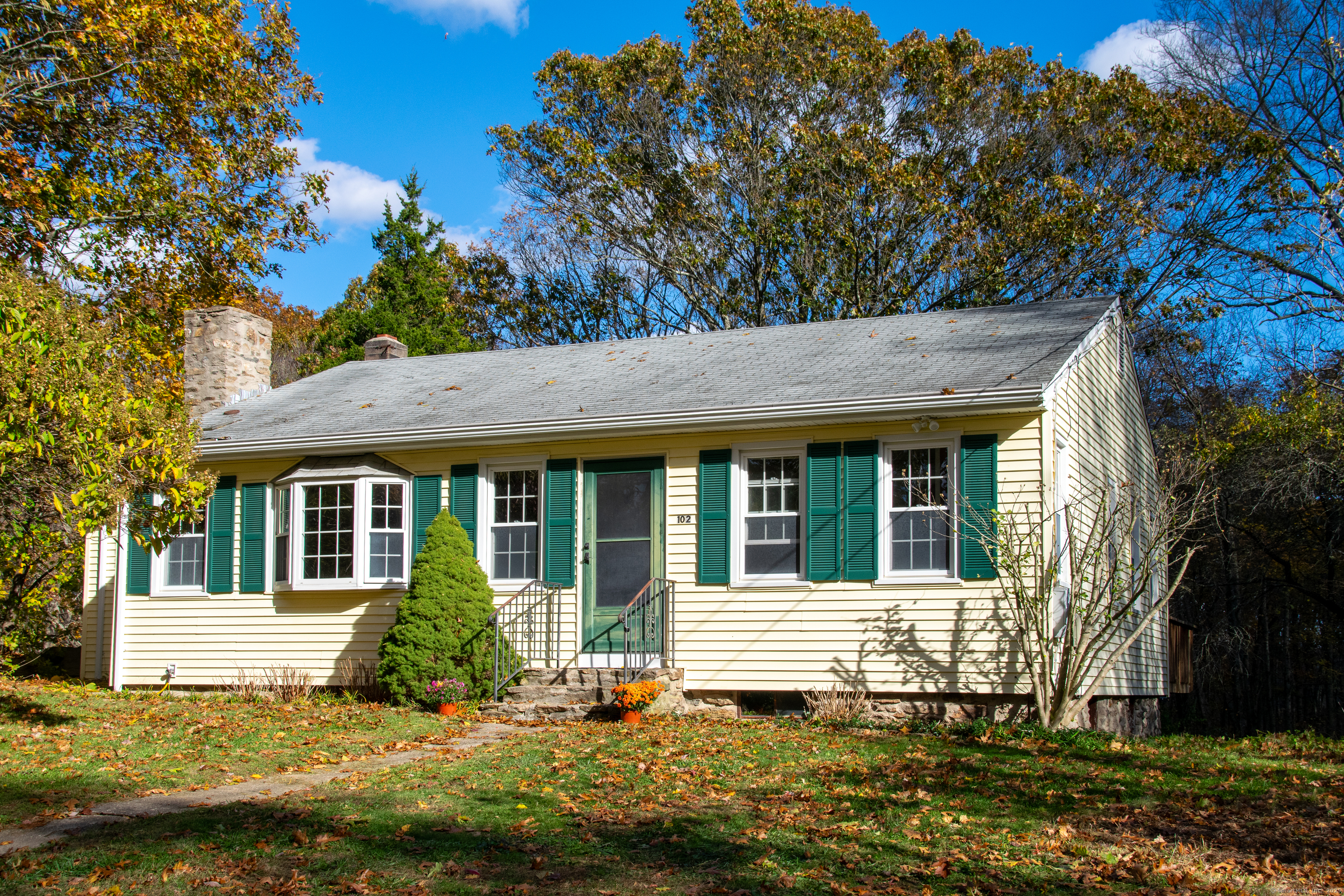 a view of a house with a small yard plants and large tree