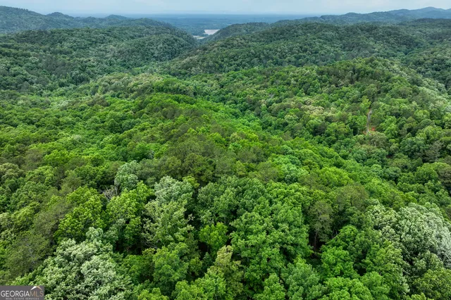 $895,680 | 0 Shady Grove Road, Talking Rock, GA 30175