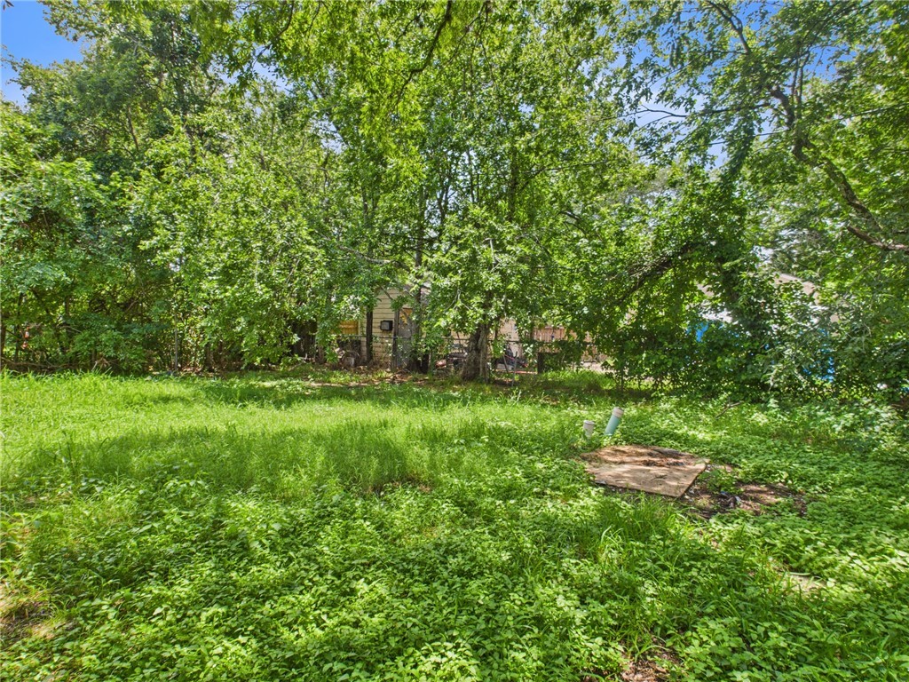 2702 Cavitt Avenue Bryan, TX 77801 - Photo 10 of 21 View of yard