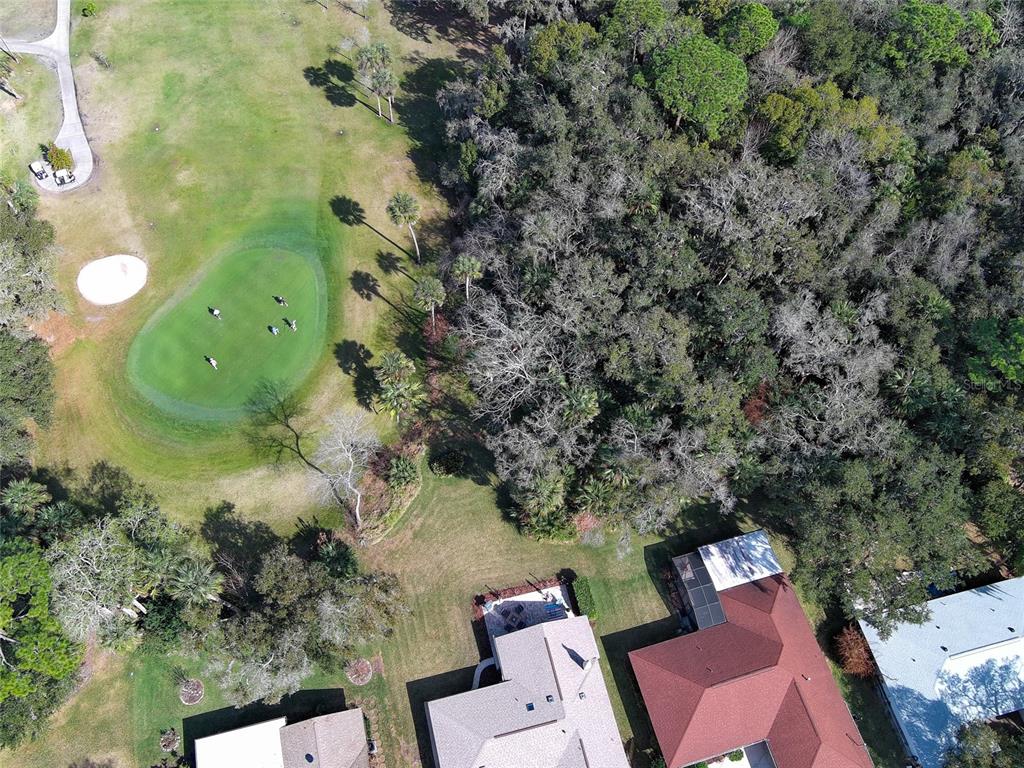 725 Green Road New Smyrna Beach, FL 32168 - Photo 35 of 40 an aerial view of a residential houses with yard