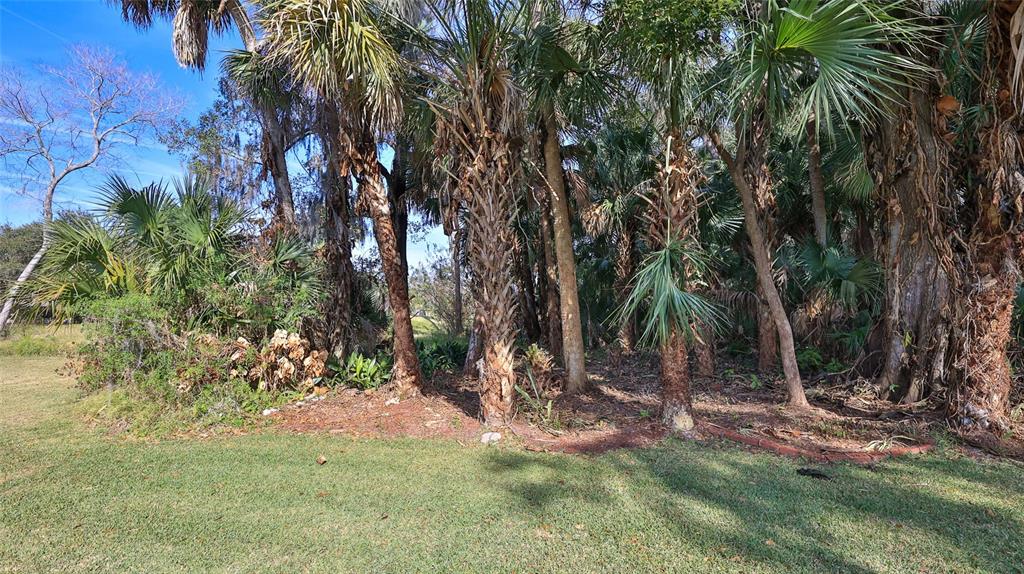 725 Green Road New Smyrna Beach, FL 32168 - Photo 36 of 40 a view of backyard