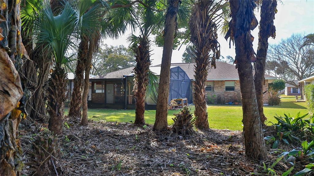 725 Green Road New Smyrna Beach, FL 32168 - Photo 38 of 40 a view of a house with a yard and tree s