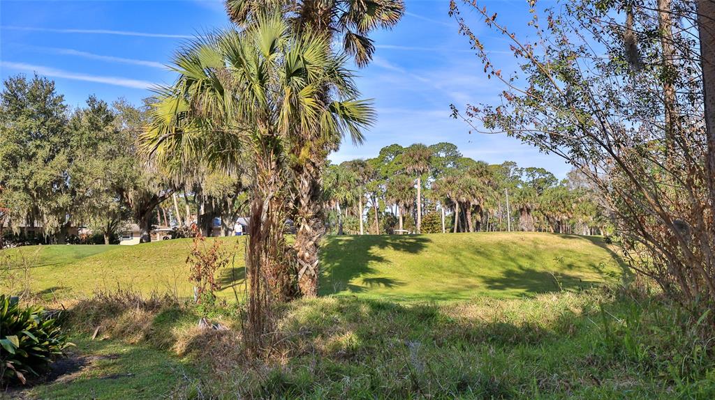 725 Green Road New Smyrna Beach, FL 32168 - Photo 39 of 40 a view of yard with large trees and plants